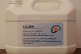 Calcium 2l