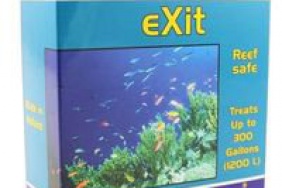 Flatworm exit