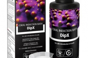 Coral Induction Bath DipX