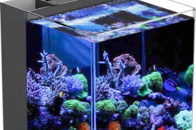 Nano Led akvárium 23l s filtrací a odpěňovačem