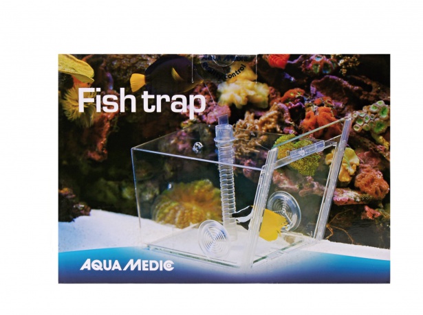 Fish Trap - past na ryby