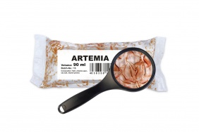 Artemia živá 45 ml