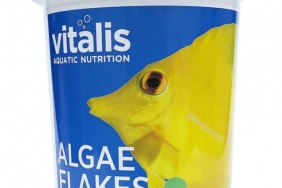 Vitalis Algae flakes 40 g 