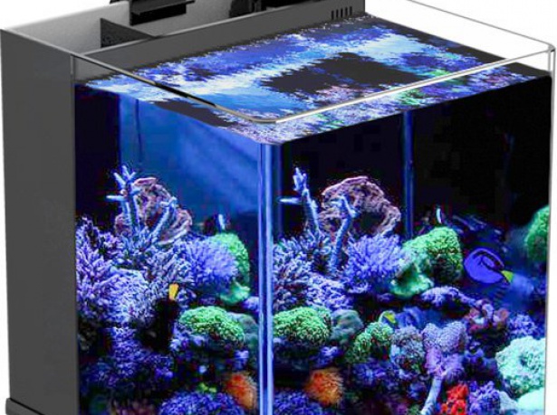Nano Led akvárium 23l s filtrací a odpěňovačem