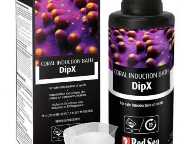 Coral Induction Bath DipX 100 ml 